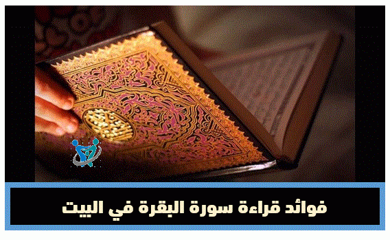 فوائد قراءة سورة البقرة في البيت