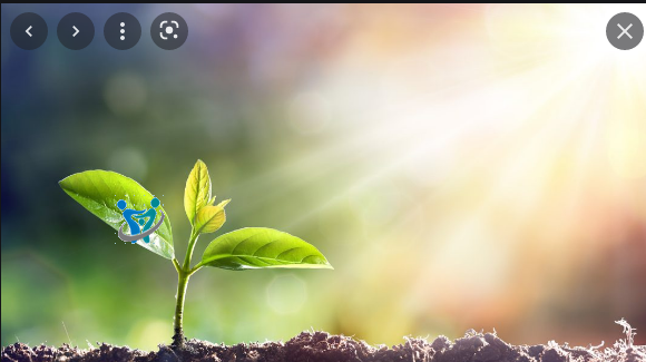 أجمل ما قيل عن الحياة أجمل ما قيل عن الحياة