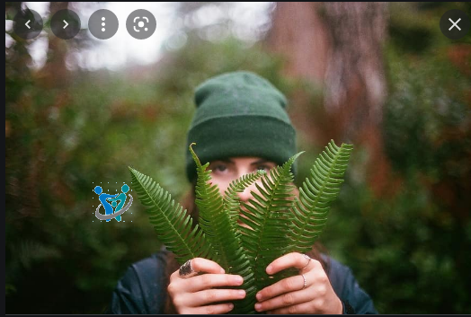 الأنثى هي الحياة الأنثى هي الحياة