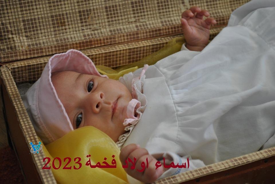 اسماء اولاد فخمة 2023