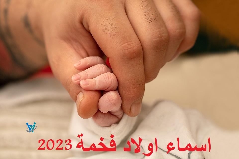 babys hand 3771123 960 720 1